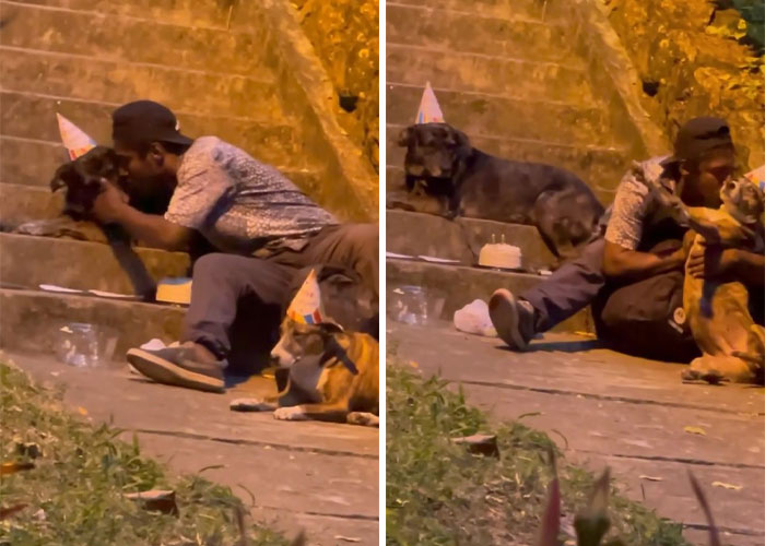 Un sans-abri fête l'anniversaire de son chien avec un gâteau et une chanson assis sur les marches d'un parc