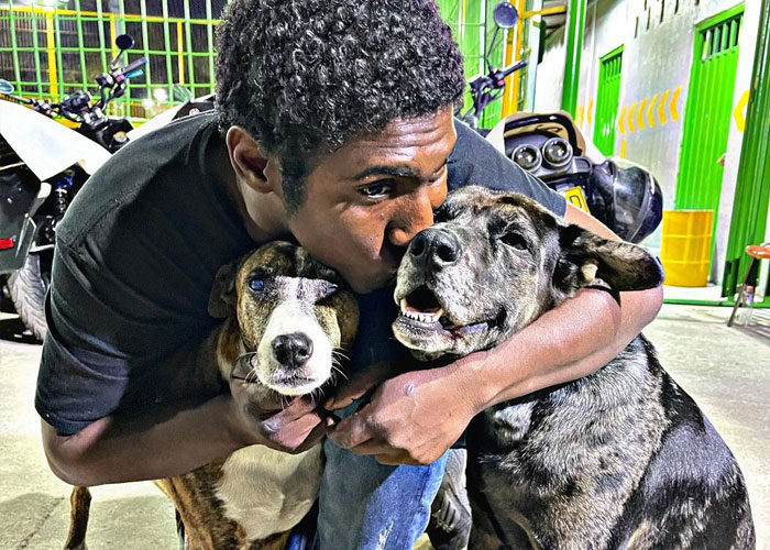 Un sans-abri fête l'anniversaire de son chien avec un gâteau et une chanson assis sur les marches d'un parc