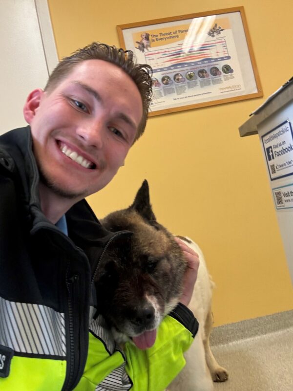 Un chien nommé Hero sauve la vie de son propriétaire pendant des jours, en luttant contre le froid et les coyotes