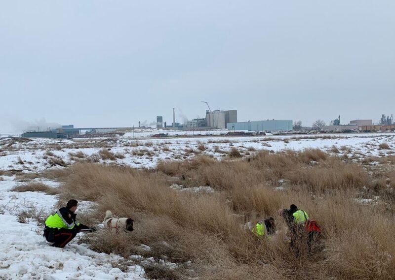 Un chien nommé Hero sauve la vie de son propriétaire pendant des jours, en luttant contre le froid et les coyotes