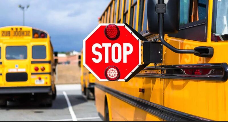 Un garçon de 10 ans est un tyran dans le bus scolaire, son père le force à courir jusqu'à l'école sous la pluie