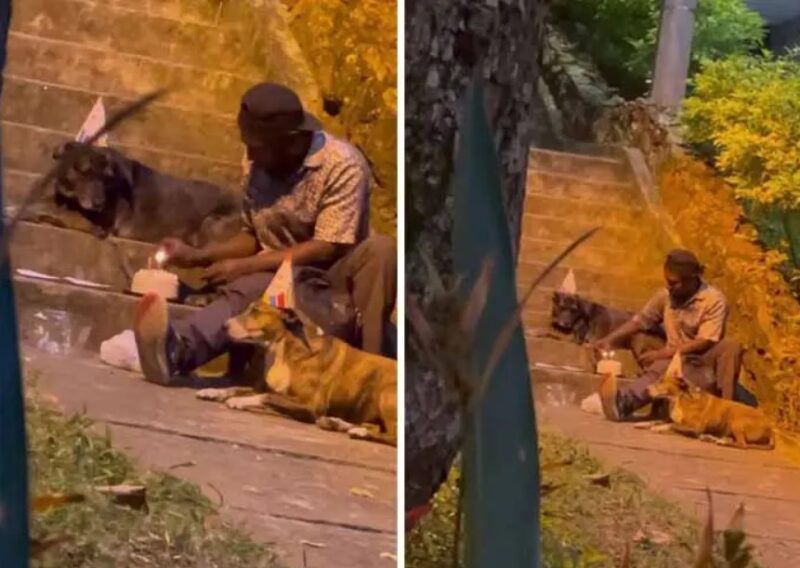Un sans-abri fête l'anniversaire de son chien avec un gâteau et une chanson assis sur les marches d'un parc
