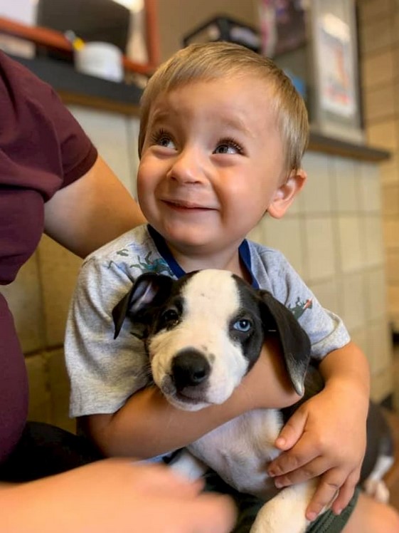 Une rencontre spéciale : Un garçon atteint d'une fente labiale adopte un chiot atteint de la même condition
