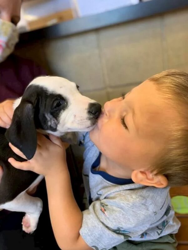 Une rencontre spéciale : Un garçon atteint d'une fente labiale adopte un chiot atteint de la même condition
