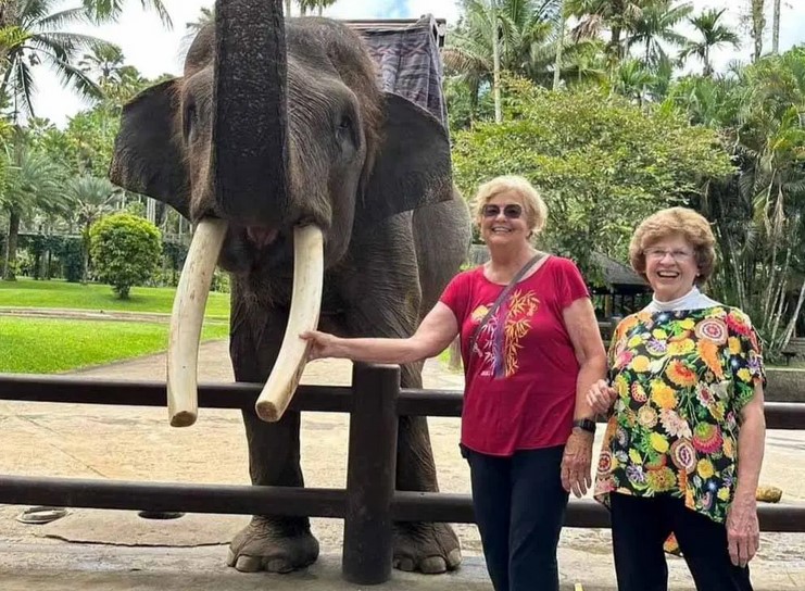 Âgées de 81 ans, elles séjournent dans des auberges de jeunesse et parcourent le monde : "L'âge n'a jamais été une barrière"