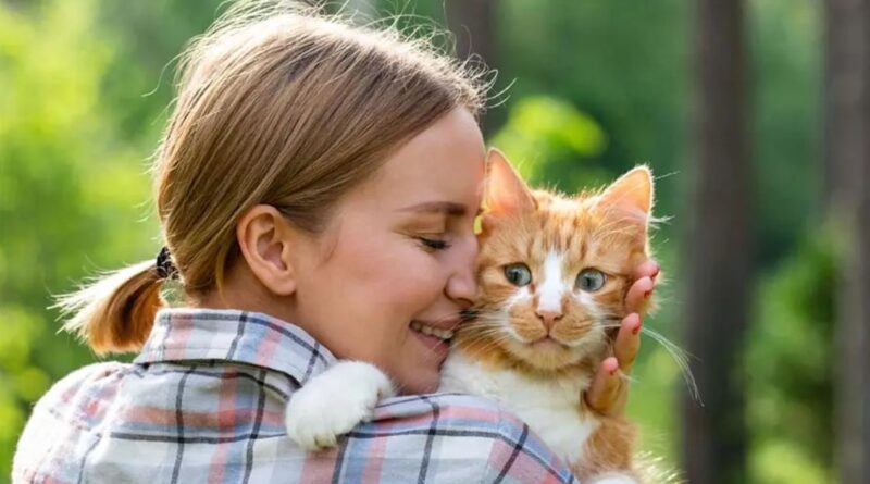 Une étude révèle que les propriétaires de chats aiment davantage leur animal que leur partenaire
