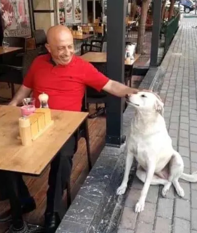 Ce sympathique boucher donne chaque jour à manger à des animaux errants avec les restes de viande de sa boucherie