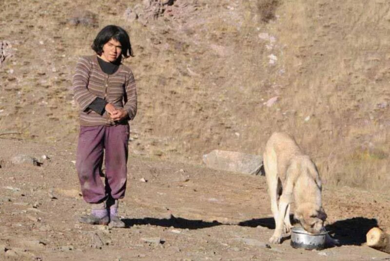 Des alpinistes ont découvert une étrange famille : C’est incroyable qu’elle ait vécu à l'écart de la société plus de 80 ans