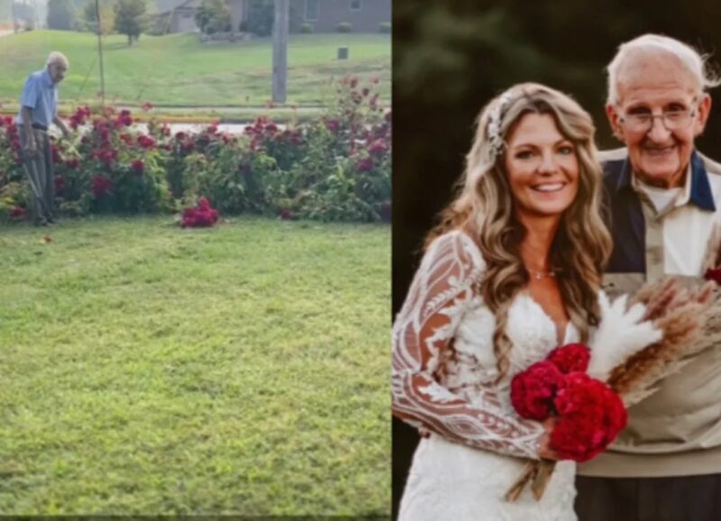Un papy de 94 ans cultive depuis environ 40 ans un jardin de fleurs exceptionnel pour les noces de sa petite-fille