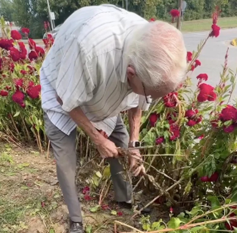 Un papy de 94 ans cultive depuis environ 40 ans un jardin de fleurs exceptionnel pour les noces de sa petite-fille
