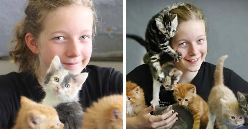 Généreuse un jour, généreuse toujours: Une petite fille sauve 14 chatons abandonnés avec l'argent qu'elle a reçu comme cadeau d'anniversaire
