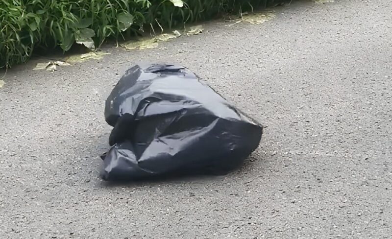 Une femme fait un écart pour éviter un sac-poubelle sur la route, regarde de plus près et frissonne