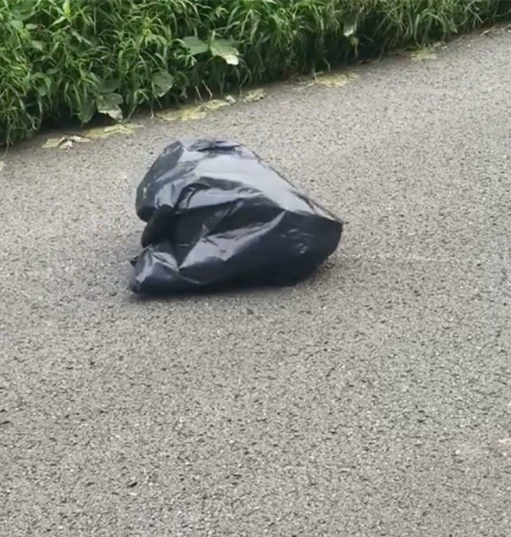 Une femme fait un écart pour éviter un sac-poubelle sur la route, regarde de plus près et frissonne