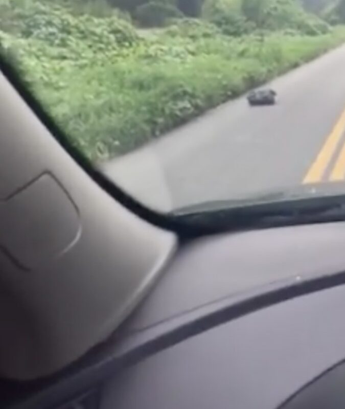 Une femme fait un écart pour éviter un sac-poubelle sur la route, regarde de plus près et frissonne