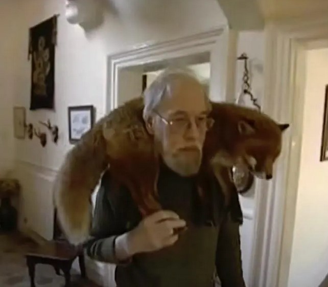 Un homme vient en aide à un renard et ils finissent par devenir les meilleurs amis du monde