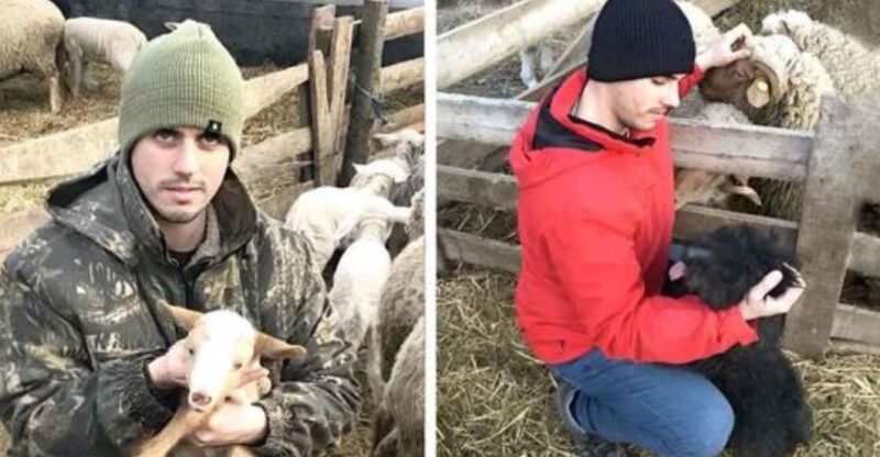 Andrei Ștefan Hahuie, un changement de vie à 360 degrés : Du policier à l'agriculteur, un coup de cœur pour l'élevage de bétail