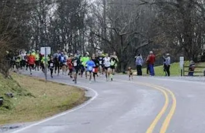 Une course surprise : un chien prend part à un marathon de manière fortuite et termine à la 7e place