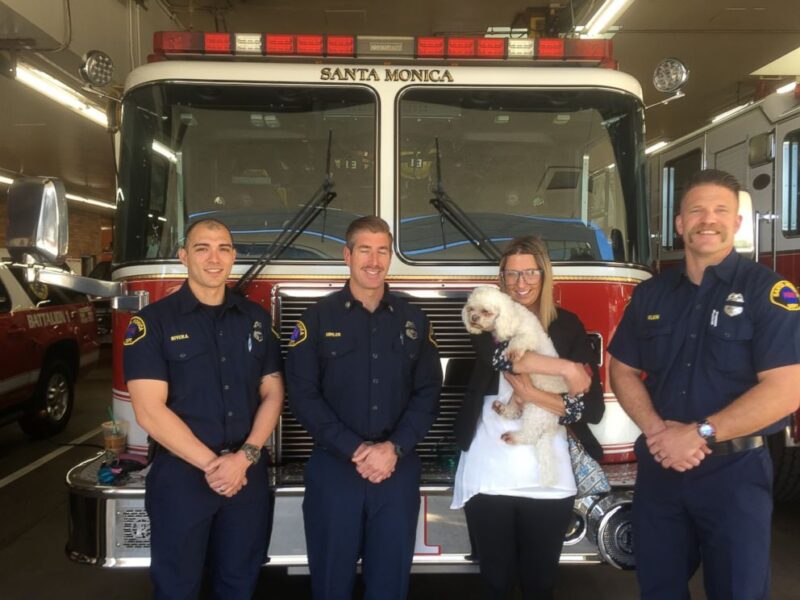 Un pompier héroïque sauve un chien sans vie, pris au piège dans un incendie, grâce à une réanimation bouche-à-bouche