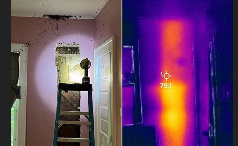 Un bambin dit à sa mère qu'il entend des monstres dans sa chambre : ce qu'elle a vu l'a vraiment effrayée