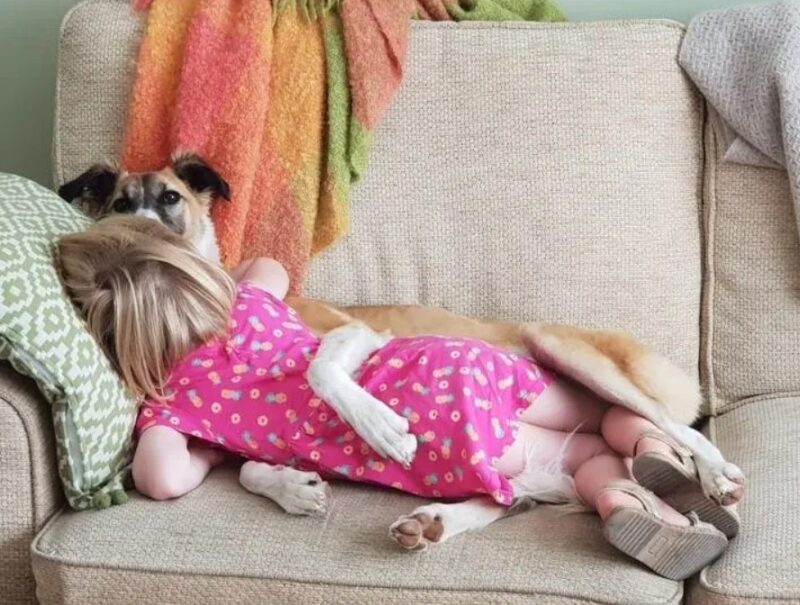 De sublimes photos d'enfants profitant des avantages de grandir avec un animal de compagnie