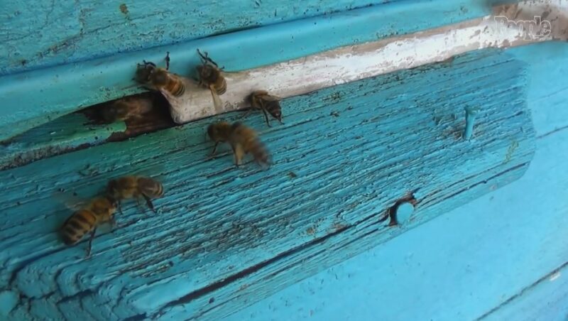 Un bambin dit à sa mère qu'il entend des monstres dans sa chambre : ce qu'elle a vu l'a vraiment effrayée