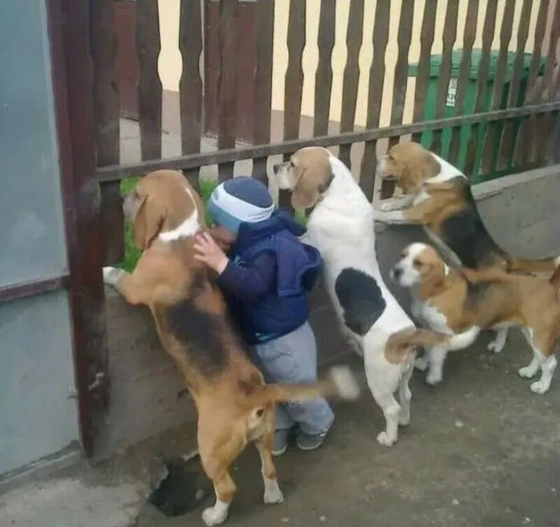 De sublimes photos d'enfants profitant des avantages de grandir avec un animal de compagnie