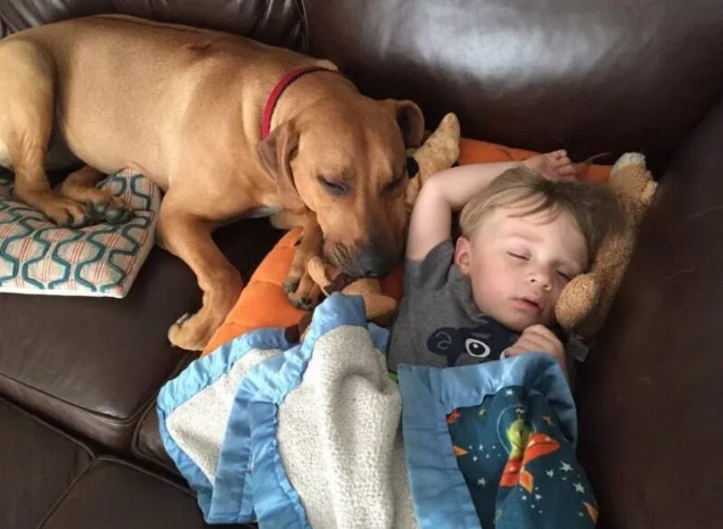 De sublimes photos d'enfants profitant des avantages de grandir avec un animal de compagnie