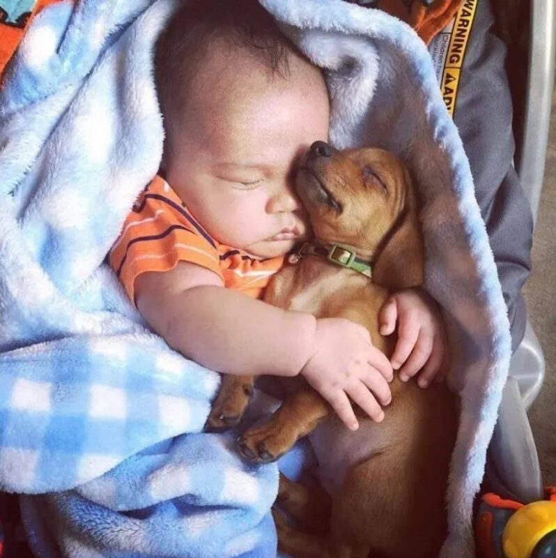 De sublimes photos d'enfants profitant des avantages de grandir avec un animal de compagnie