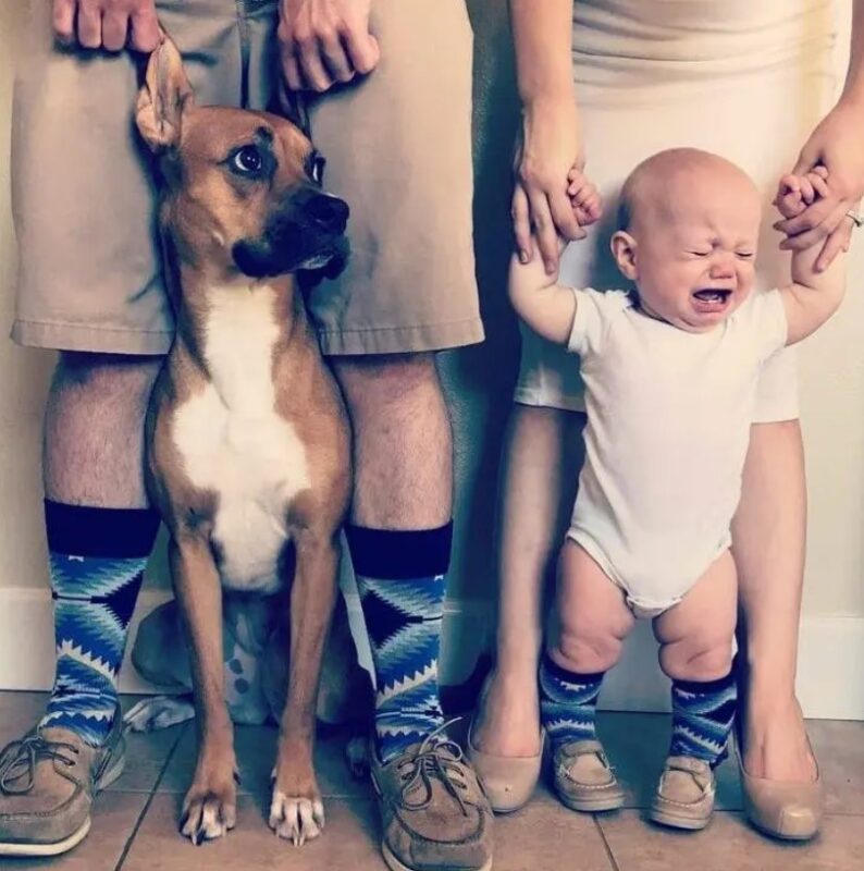 De sublimes photos d'enfants profitant des avantages de grandir avec un animal de compagnie