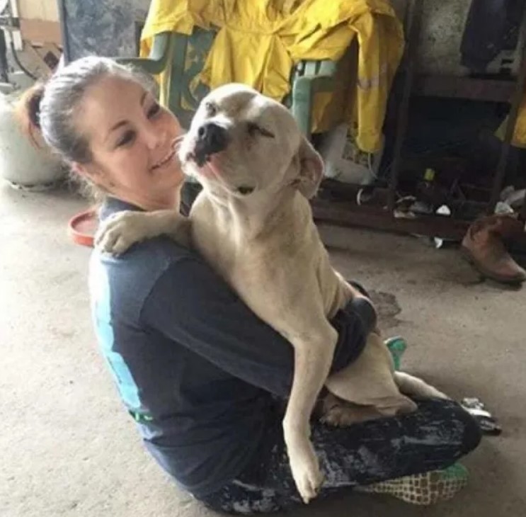 Ce chien errant dort avec une peluche et ça ne dérange personne, on ne s'en soucie