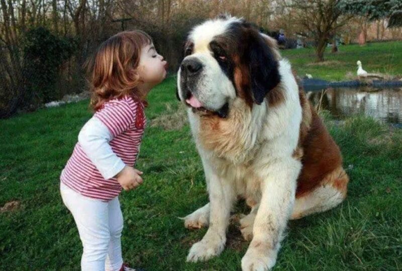 De sublimes photos d'enfants profitant des avantages de grandir avec un animal de compagnie