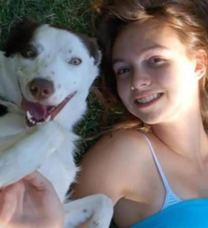 La demande d'aide d'une femme pour ramener un chien âgé aux États-Unis se transforme en une histoire d'amour incroyable