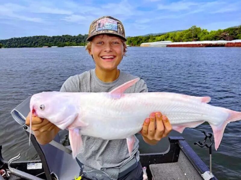 Un jeune homme de quinze ans pêche un poisson d'une rareté incroyable "Il mérite toutes nos félicitations"