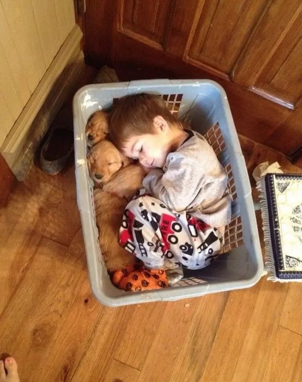 De sublimes photos d'enfants profitant des avantages de grandir avec un animal de compagnie