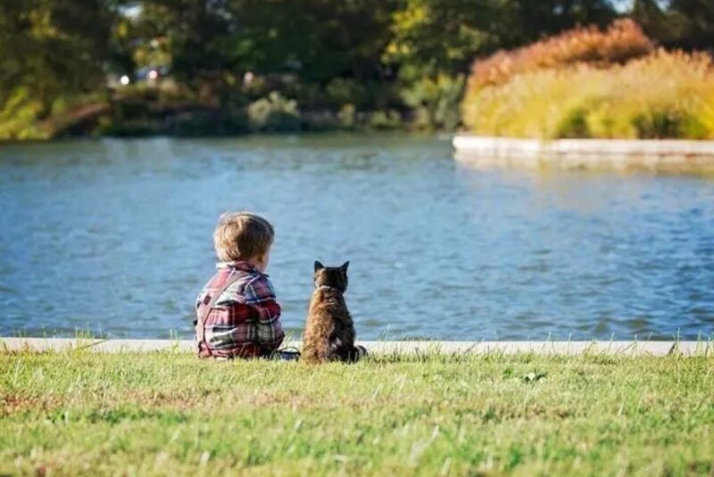 De sublimes photos d'enfants profitant des avantages de grandir avec un animal de compagnie