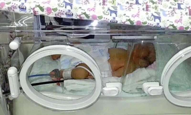 L’animal à la rescousse de l’humain : Un petit chien trouve et retire un bébé d'une poubelle