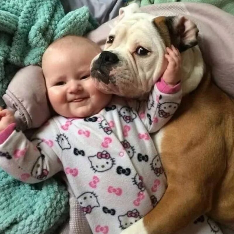De sublimes photos d'enfants profitant des avantages de grandir avec un animal de compagnie