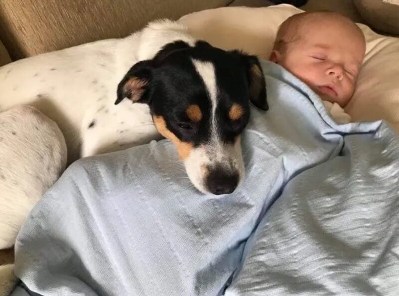 De sublimes photos d'enfants profitant des avantages de grandir avec un animal de compagnie