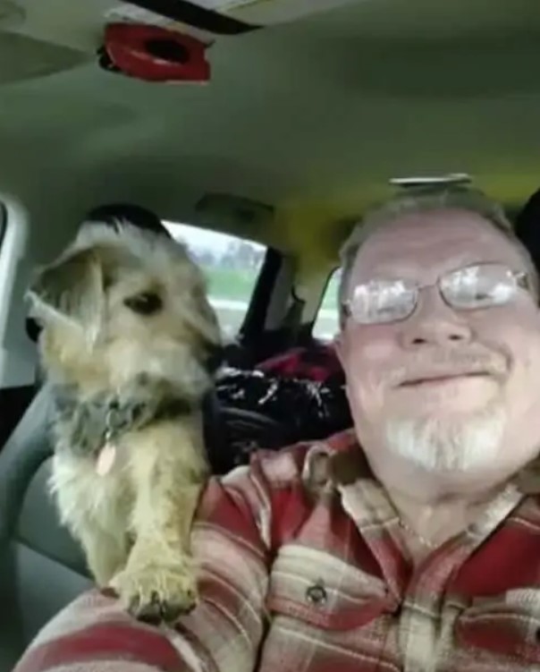 Ce papi parcourt le pays pour offrir un chien errant à ses petits-enfants : "Mes petits-enfants me sont très chers"