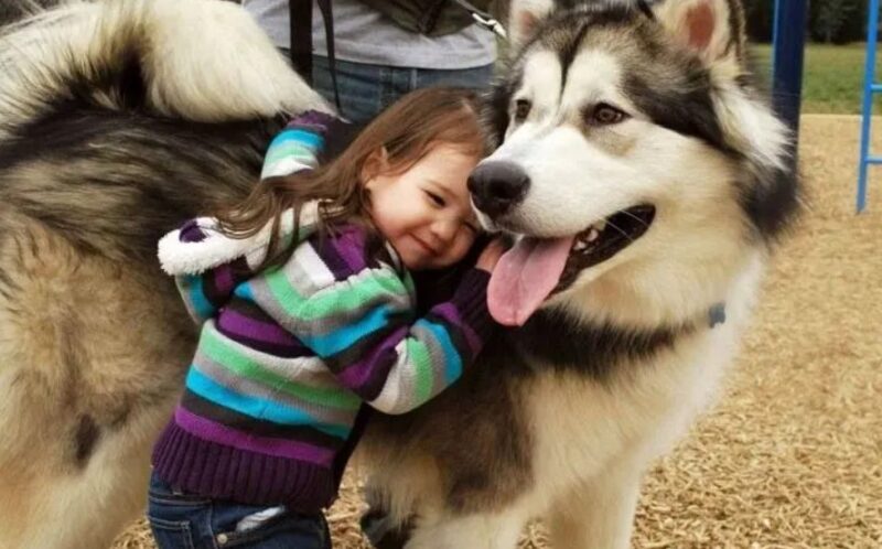De sublimes photos d'enfants profitant des avantages de grandir avec un animal de compagnie