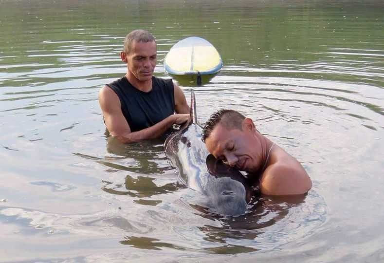 Des surfeurs ont entendu les pleurs d'un bébé baleine et se sont empressés de lui venir en aide