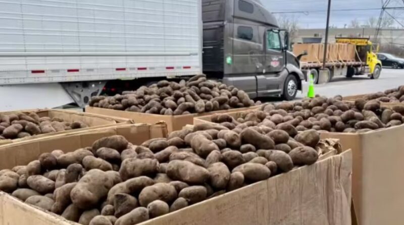 Un fermier fait un don spécial : des millions de kilos de pommes de terre sont distribués aux personnes dans le besoin