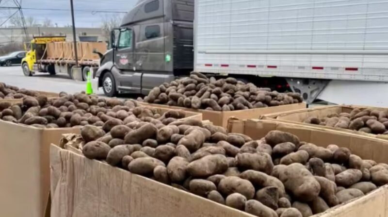 Un fermier fait un don spécial : des millions de kilos de pommes de terre sont distribués aux personnes dans le besoin