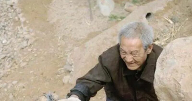 Un papy sans jambes a planté 17 000 arbres pendant dix-neuf ans : «Il mérite notre soutien»