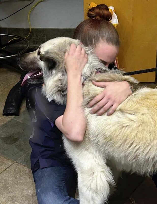 Elle donne son chien au refuge par manque de moyens : le refuge lui offre de la nourriture à vie afin qu'elle puisse le garder
