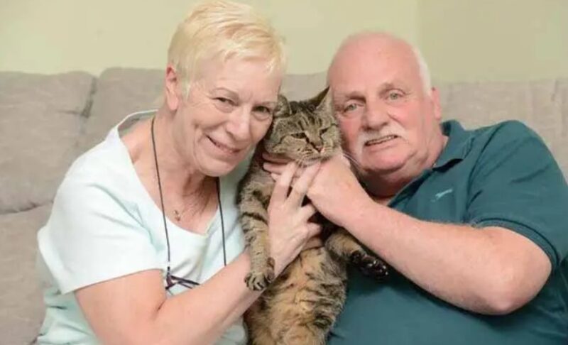 Un chat a fêté son 31e anniversaire et ses vingt-six ans de présence dans la famille