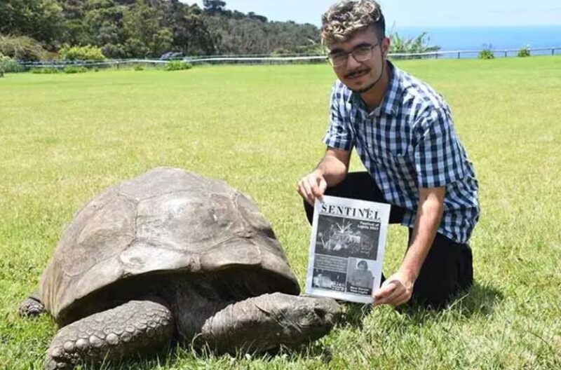 Jonathan a atteint l'âge de 192 ans : c'est la plus âgée des tortues du monde