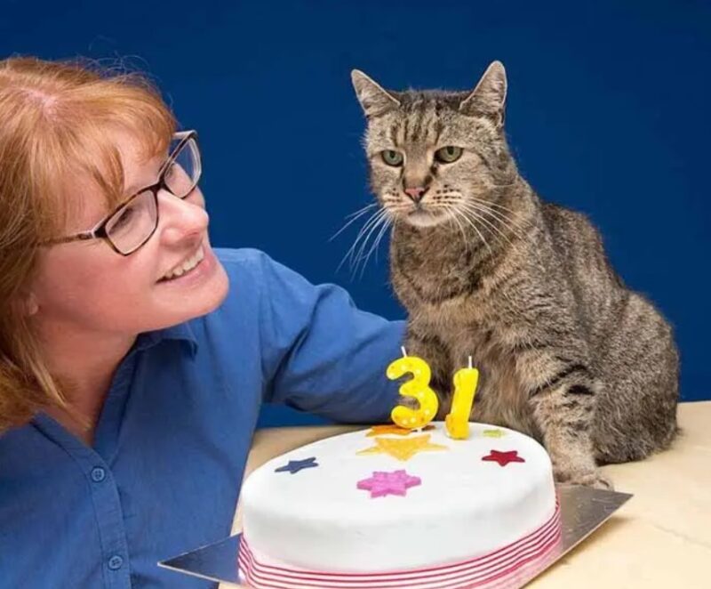 Un chat a fêté son 31e anniversaire et ses vingt-six ans de présence dans la famille