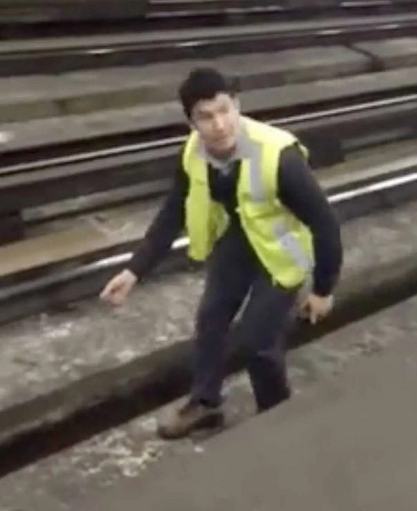 Un conducteur de train stoppe le train pour sortir un chien de la voie ferrée