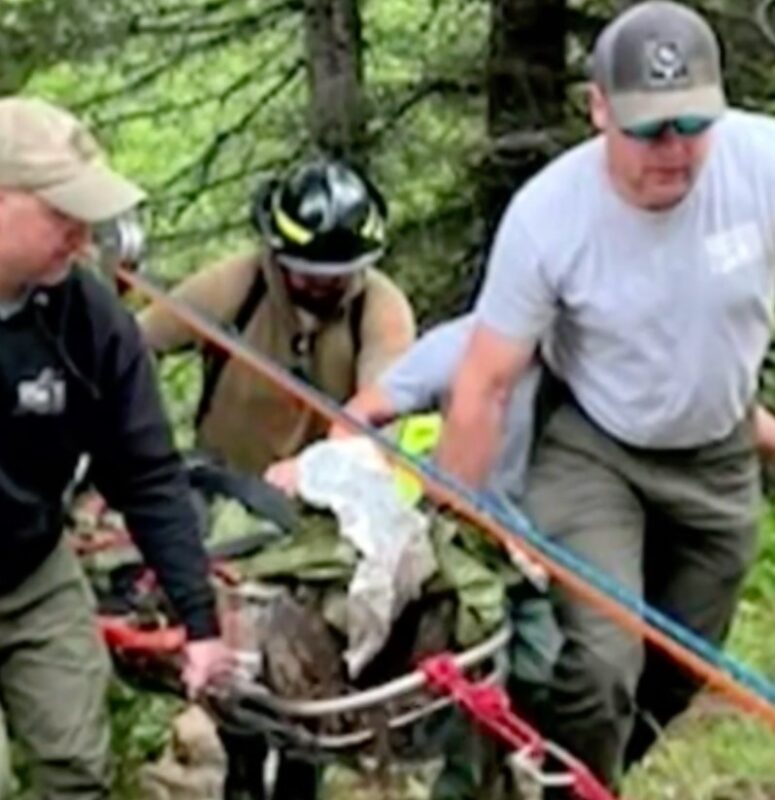Un chien court 4 miles pour obtenir de l'aide après que son maître se soit crashé dans un ravin